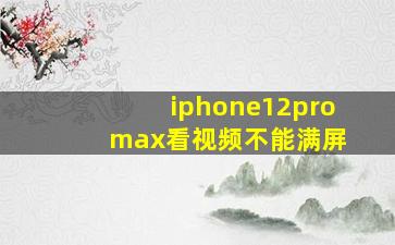 iphone12pro max看视频不能满屏